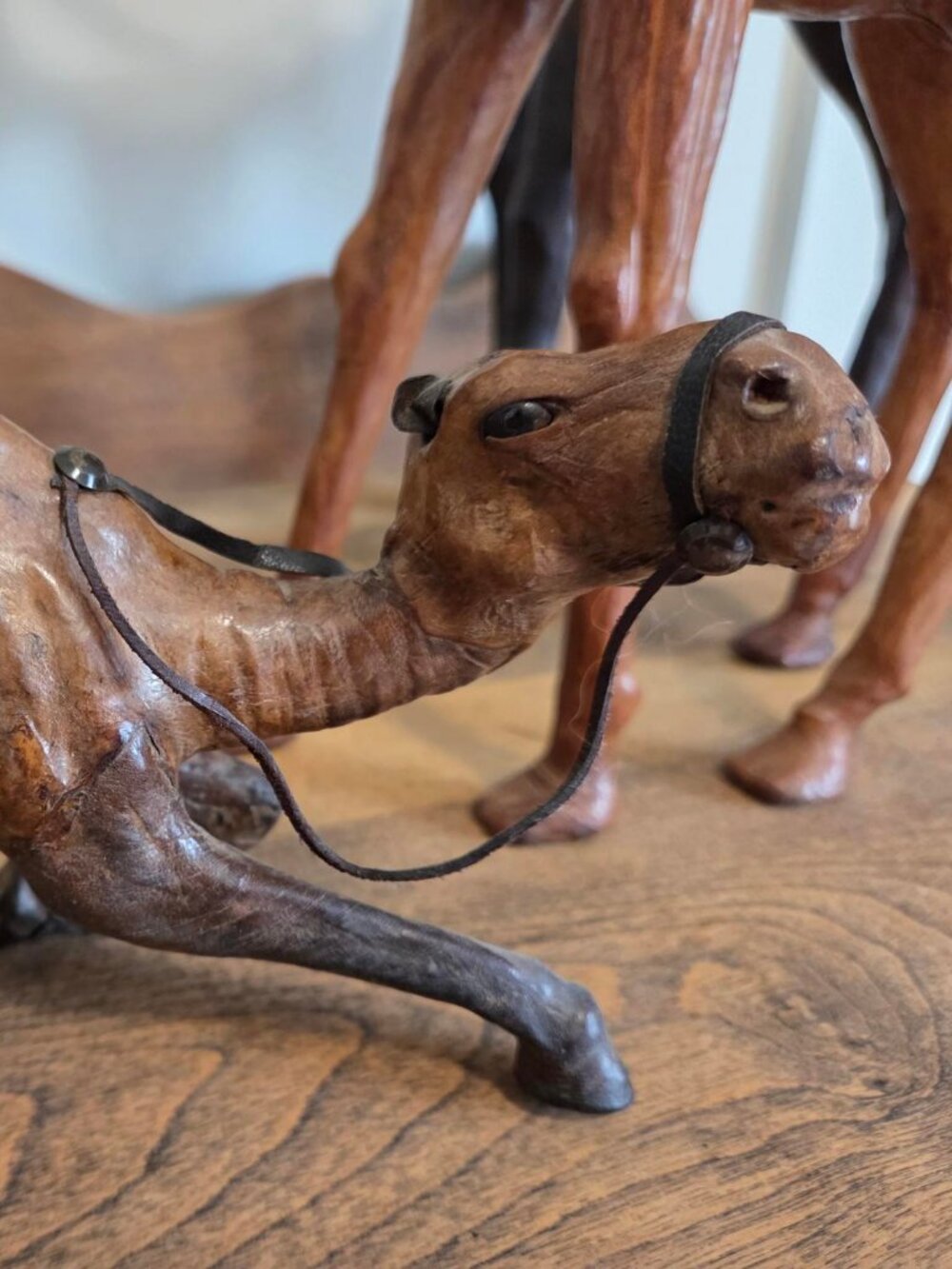Leather Wrapped Camels